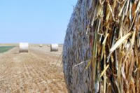Finding what you need shouldn't be like looking for a needle in a haystack Finding what you need shouldn't be like looking for a needle in a haystack