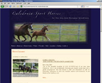 Caledonia Sport Horses Scotland