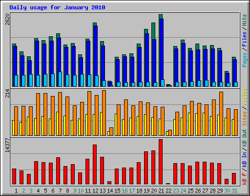 Daily usage for January 2010