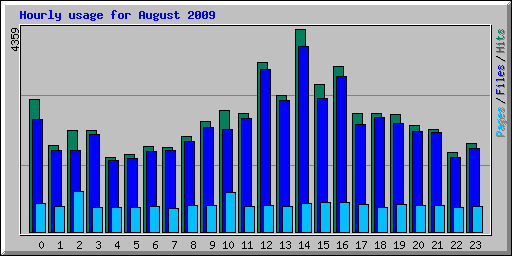 Hourly usage for August 2009