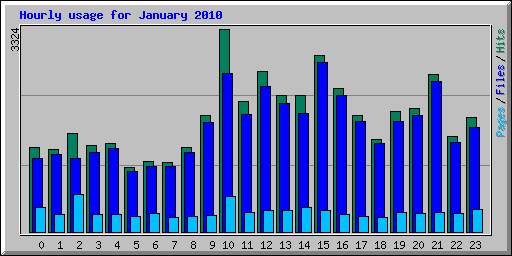 Hourly usage for January 2010